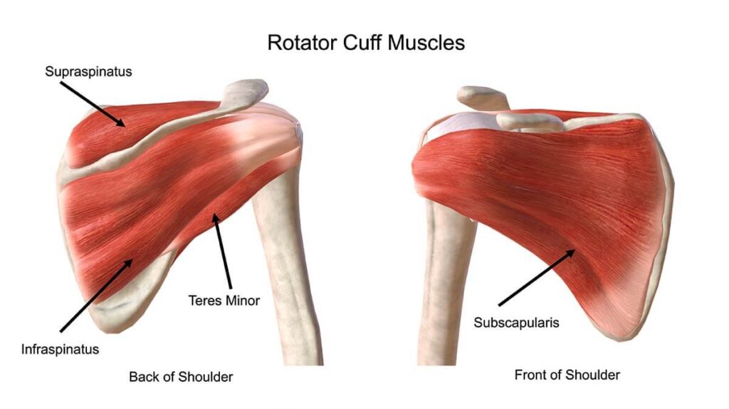 Rotator Cuff Injury Repair in Raipur